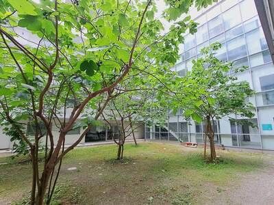 Gewerbeobjekt mieten in 1100 Wien (Bild 2)