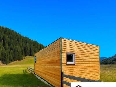 Haus kaufen in 8850 Laßnitz (Bild 2)