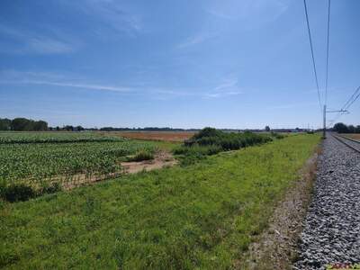 Gewerbeobjekt kaufen in 9231 Beltinci (Bild 3)