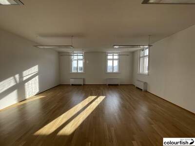 Gewerbeobjekt mieten in 1010 Wien (Bild 4)