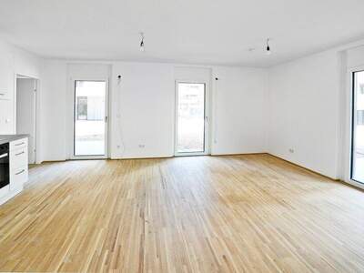Terrassenwohnung mieten in 1220 Wien (Bild 1)