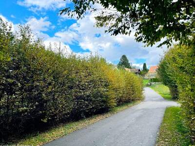 Grundstück kaufen in 8151 Berndorf (Bild 5)