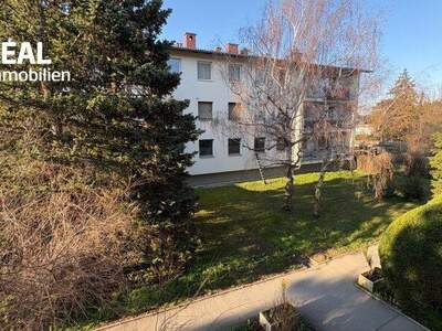 Wohnung kaufen in 2380 Perchtoldsdorf (Bild 3)