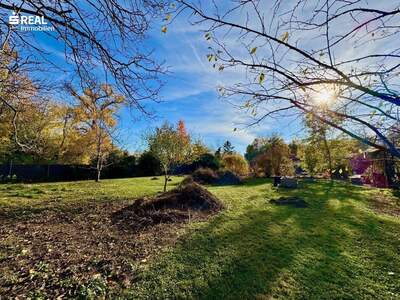 Grundstück kaufen in 2602 Blumau