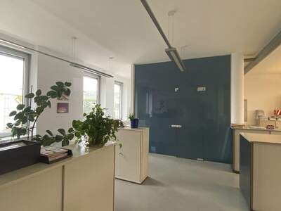 Gewerbeobjekt mieten in 1190 Wien (Bild 3)