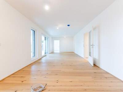Terrassenwohnung kaufen in 1220 Wien (Bild 5)