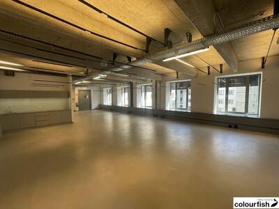 Gewerbeobjekt mieten in 1030 Wien (Bild 5)