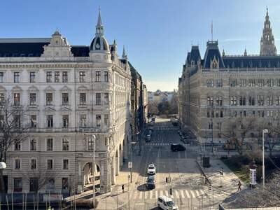 Terrassenwohnung mieten in 1080 Wien (Bild 4)