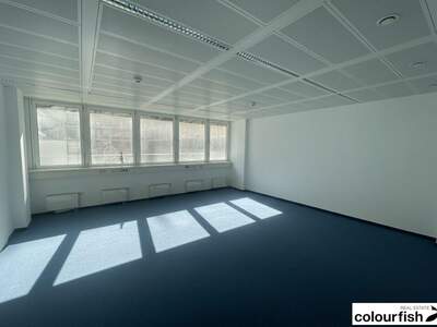Gewerbeobjekt mieten in 1020 Wien (Bild 3)