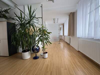 Gewerbeobjekt mieten in 4710 Grieskirchen (Bild 2)