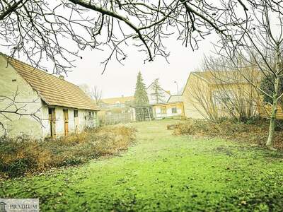 Grundstück kaufen in 2403 Scharndorf (Bild 3)