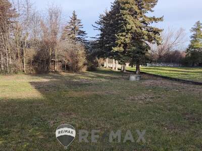 Grundstück kaufen in 2601 Sollenau (Bild 5)