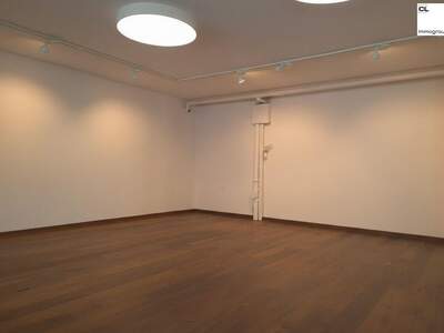 Gewerbeobjekt mieten in 5310 Mondsee (Bild 4)