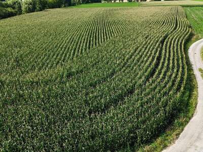 Gewerbeobjekt kaufen in 3243 Diesendorf
