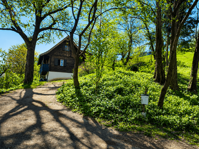 Haus kaufen in 8452 Großklein