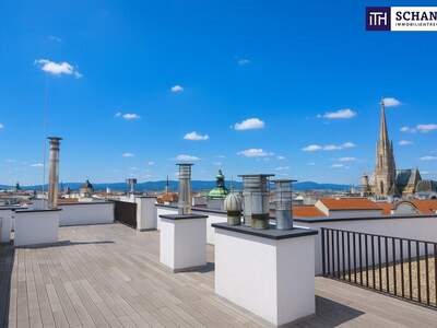 Terrassenwohnung kaufen in 1010 Wien (Bild 4)