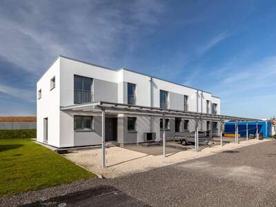 Haus kaufen in 4692 Niederthalheim