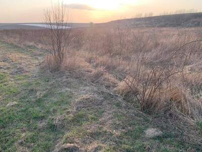 Gewerbeobjekt kaufen in 2002 Roseldorf