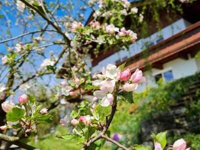 Haus provisionsfrei kaufen in 6342 Niederndorf