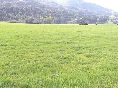 Grundstück kaufen in 6406 Oberhofen