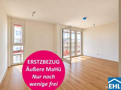 Terrassenwohnung mieten in 1150 Wien (Bild 1)