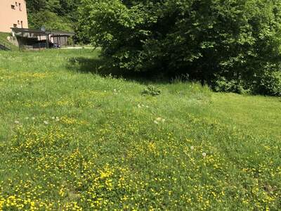 Grundstück kaufen in 8051 Graz (Bild 5)