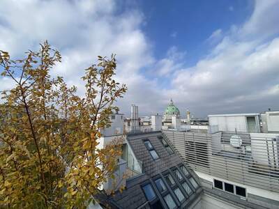 Terrassenwohnung kaufen in 1040 Wien (Bild 1)