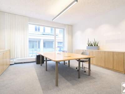 Gewerbeobjekt mieten in 1070 Wien (Bild 3)