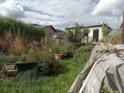 Einfamilienhaus mieten in 9560 Steindorf (Bild 2)