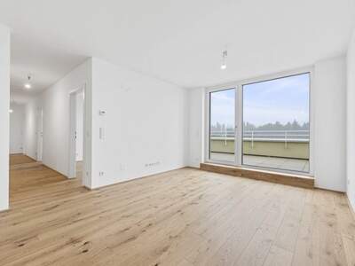 Anlageobjekt kaufen in 2540 Bad Vöslau (Bild 4)