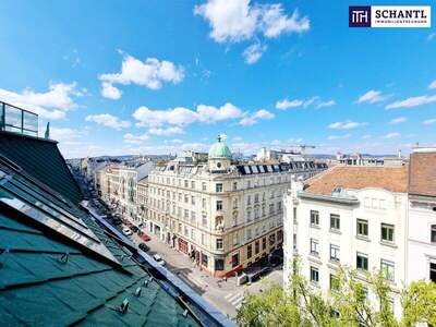 Terrassenwohnung kaufen in 1070 Wien (Bild 2)