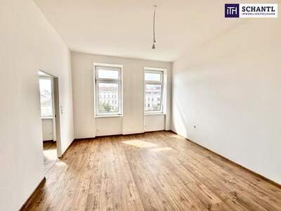 Wohnung kaufen in 1080 Wien