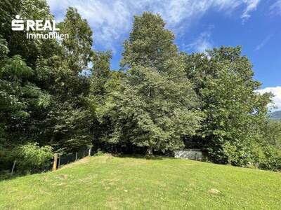 Haus kaufen in 8454 Arnfels (Bild 4)