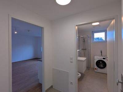 Terrassenwohnung mieten in 1210 Wien (Bild 3)