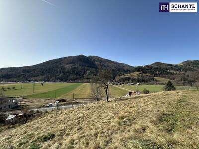 Grundstück kaufen in 8121 Deutschfeistritz (Bild 2)