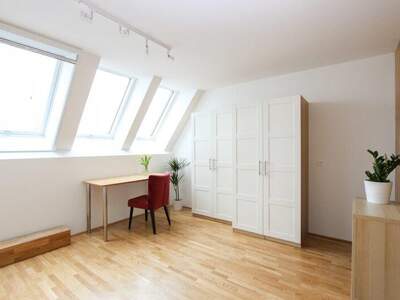 Terrassenwohnung mieten in 1070 Wien (Bild 2)