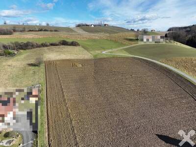 Grundstück kaufen in 8282 Stein