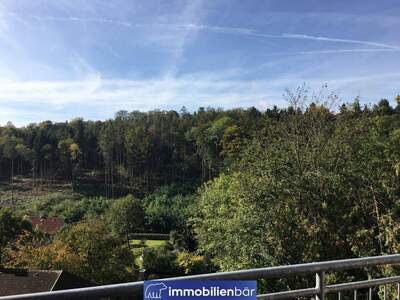 Anlageobjekt kaufen in 4040 Linz