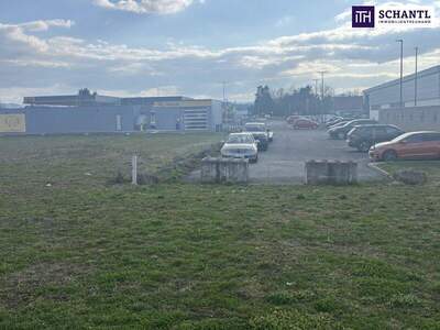 Grundstück kaufen in 8472 Vogau (Bild 5)