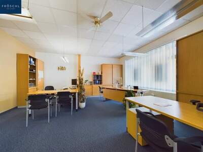 Gewerbeobjekt kaufen in 2870 Aspang