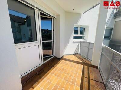Terrassenwohnung mieten in 4020 Linz (Bild 3)