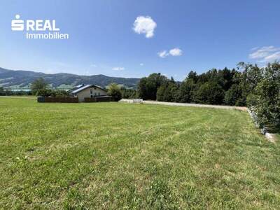Grundstück kaufen in 4893 Zell