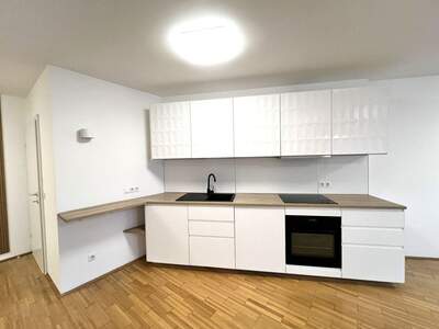 Mietwohnung in 1230 Wien (Bild 1)