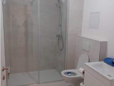 Terrassenwohnung mieten in 1230 Wien (Bild 5)