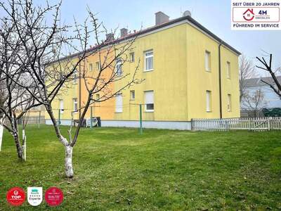Haus kaufen in 2540 Bad Vöslau