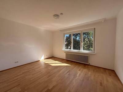 Anlageobjekt kaufen in 9800 Spittal