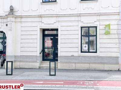 Gewerbeobjekt mieten in 2340 Mödling (Bild 3)