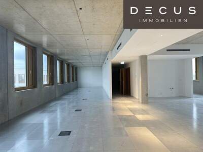 Büro / Praxis mieten in 1230 Wien (Bild 2)