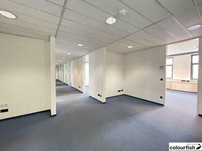 Gewerbeobjekt mieten in 1040 Wien (Bild 2)