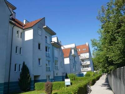Anlageobjekt kaufen in 2700 Wiener Neustadt